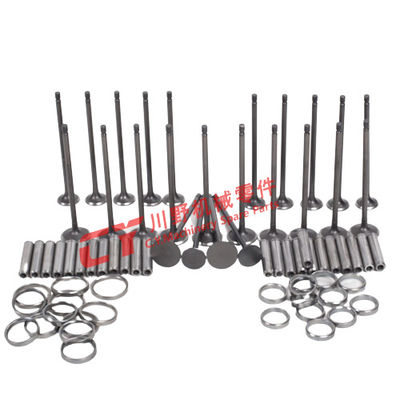 Valvola del motore S6K C6.4 di Exavator & parti della guida & della sede valvola della valvola